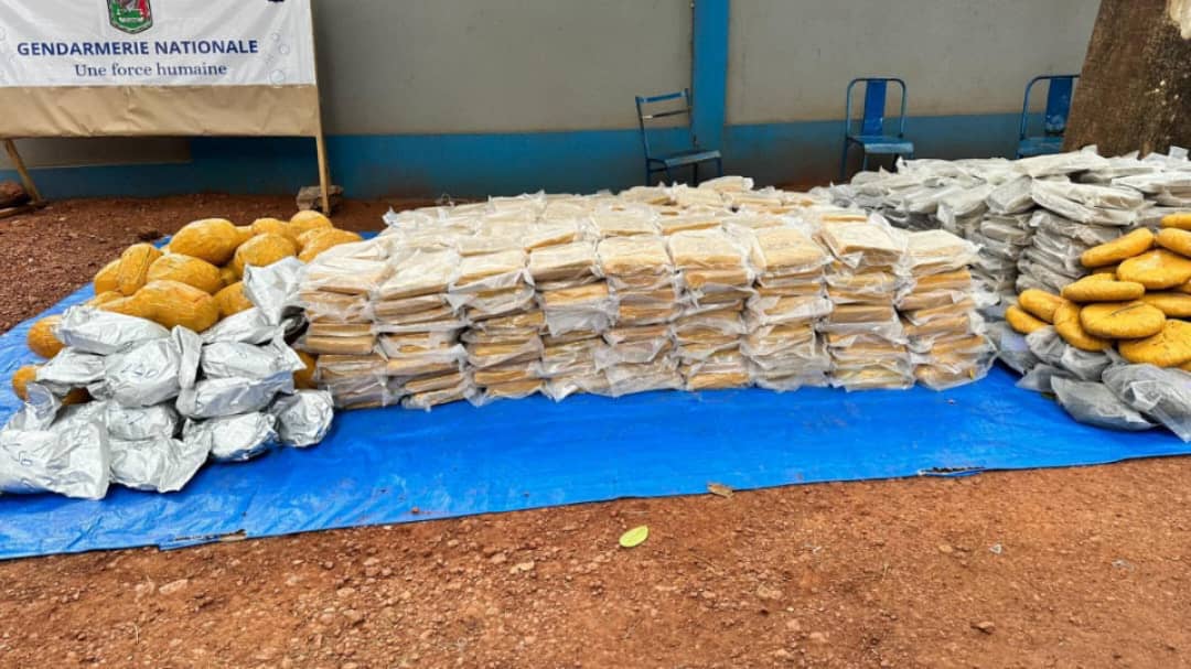 Faramana : 783,1 kg de drogue de plus de 86 millions de francs CFA saisies par la Gendarmerie nationale